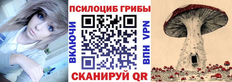 Псилоцибиновые грибы мицелий Урус-Мартан